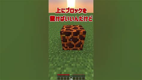 【マイクラ】上級者でも意外と知らないマグマブロックの仕様！！【解説】【紹介】shorts Youtube