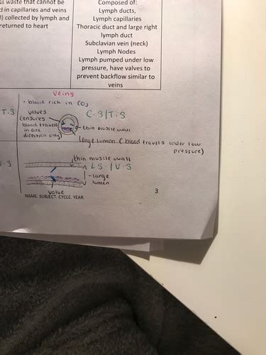 Blood And Circulatory System Qs Flashcards Quizlet