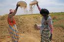 News Reduce Rural Poverty Food And Agriculture Organization Of The