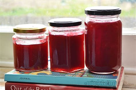 Easy Rhubarb Jam Recipe - Picklebums