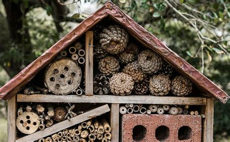 Close Up Of Insect Hotel Insect Hotel Easy Backyard Diy Easy Backyard