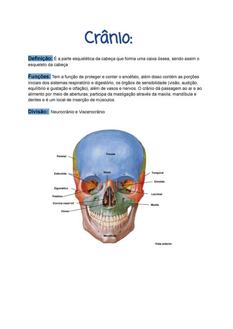 Ossos do Crânio e Face P1 Crânio Definição É a parte
