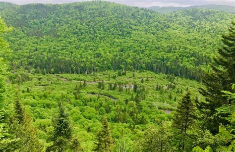 Hiking In The Jacques Cartier National Park From Quebec City