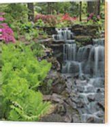 Waterfall With Ferns And Azaleas Photograph By Panoramic Images Fine