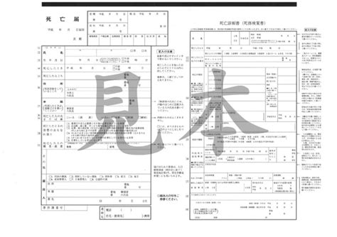 死亡診断書と死体検案書の準備 葬儀情報局 葬式・通夜や家族葬のマナーや流れ・準備費用解説