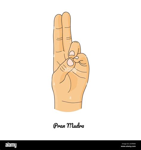 Pran Mudra Gesto De La Vida Vector Imagen Vector De Stock Alamy