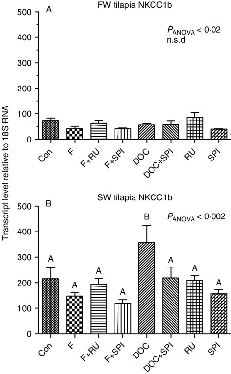 In vitro effect of cortisol and DOC on NKCC1b mRNA expression in FW-(A ... 