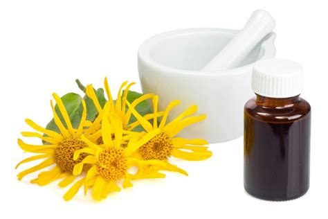 Arnica Planta Medicinal Para Que Sirve Y Como Se Prepara Plantă Blog