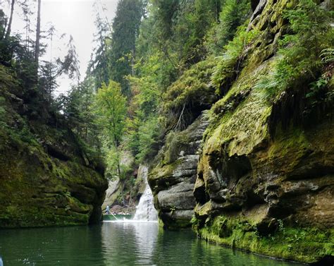 Kostenlose Foto Landschaft Baum Wald Rock Wasserfall Wildnis