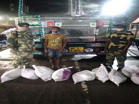 BSF Seizes 126 Kgs Of Hilsha Fish At ICP Petrapole 1 Held