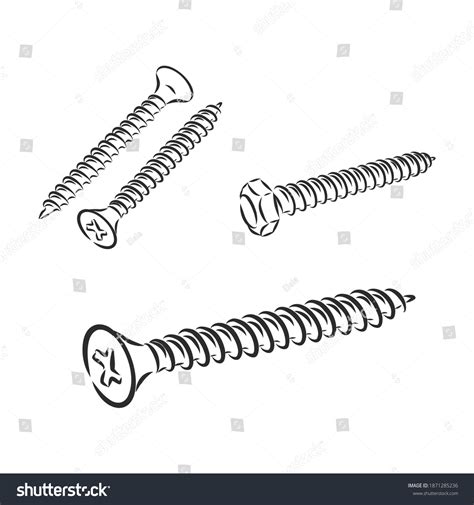 Screw Vector Sketch Illustration Screw Vector Stock Vector Royalty