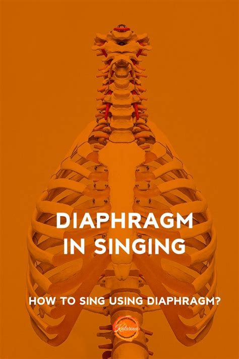 Diaphragm In Singing What You Need To Know How 2 Improve Singing