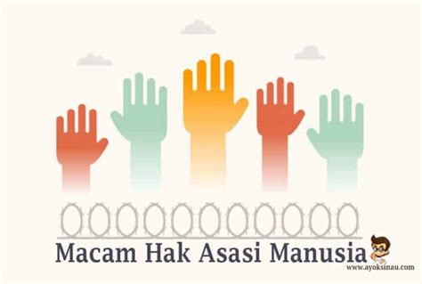 Macam Hak Asasi Manusia HAM Beserta Contohnya Ayok Sinau