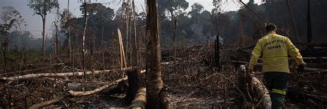 Sistema Mapbiomas Indica Aumento De No Desmatamento No Pampa Em