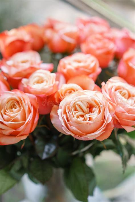 Ramo Hermoso Del Verano Arreglo Con Las Flores De La Mezcla Chica Joven