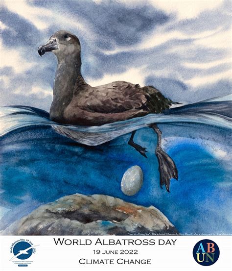 Agreement On The Conservation Of Albatrosses And Petrels World