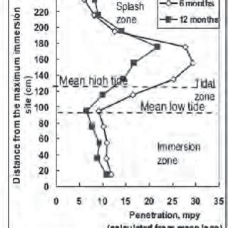 Profiles of mild steel corrosion rates for 6 and 12 months exposure to... | Download Scientific ...