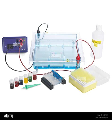 Equipos Para Electroforesis En Gel Elementos De Un Kit Para Demostrar