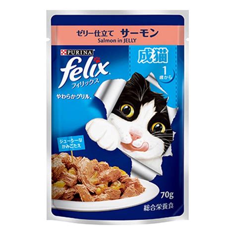 Purina Felix Wet Cat Food Pouch G X Makanan Kucing Basah Murah