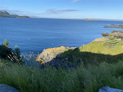 Newfoundland Travel Guide