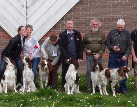 Exposition Canine Internationale D Amiens Club De L Epagneul