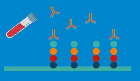 Peptides The Key To Advancing Diagnostics Blog Biosynth