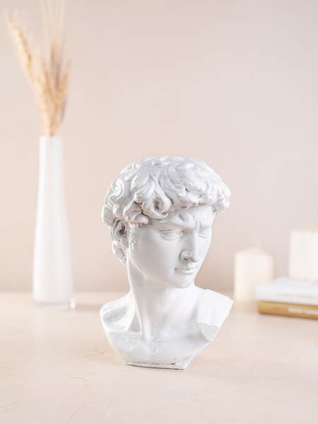 Статуэтка "Голова Давида" арт С-ДавидБел - купить по низким ценам в ...