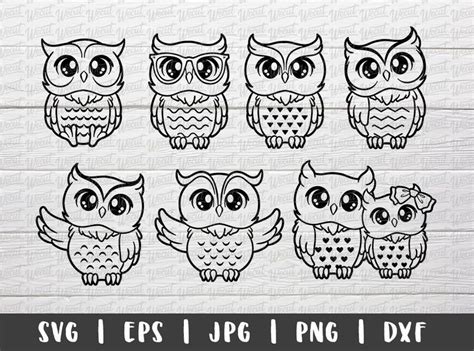 Cute Owl Svg Files For Cricut Owl Clipart Bundle Baby Owl Etsy