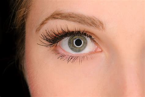 7 Facts About Fake Eyelashes Thatll Make You A Fan Sheknows