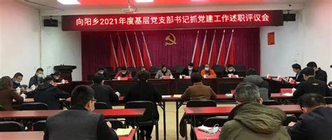 向阳乡召开2021年度基层党组织书记抓党建工作述职评议会黄秋燕进行党建