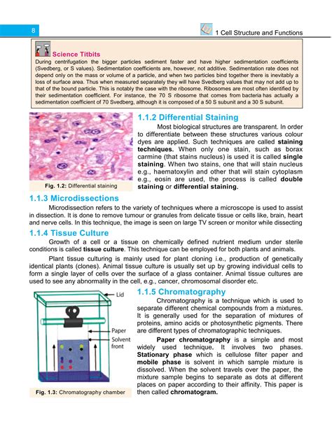 Solution Cell Structure And Functions Studypool