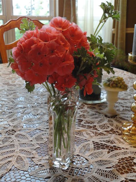 Rose Scented Geraniums « Eliot's Eats