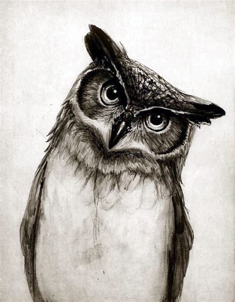 40 Realistic Animal Pencil Drawings