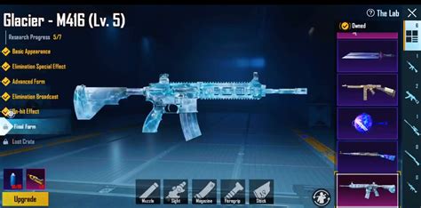 Pubgm Global M Glacier Level Ump Max Upgradable Skin Rp