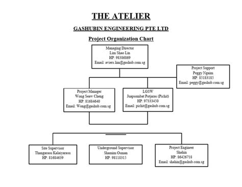 Project Organization Chart | PDF