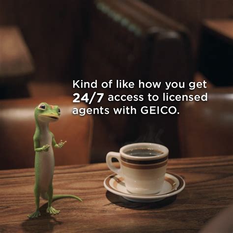 Funny Geico Commercial Quotes Shortquotes Cc