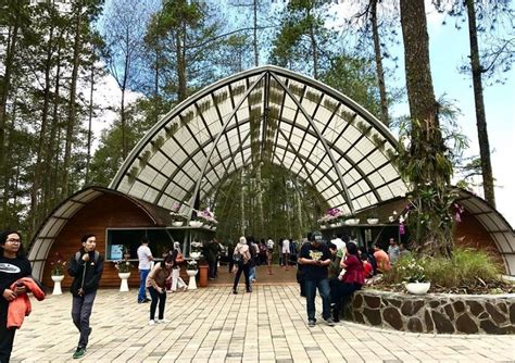 Review Wisata Orchid Forest Cikole Lembang Wahana Tiket Masuk