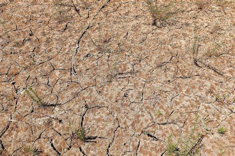 At California's Folsom Lake, a stark image of state's drought disaster ...