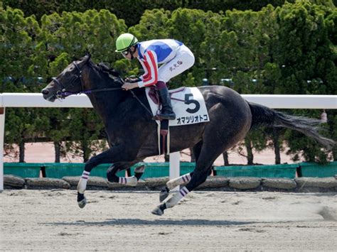 【函館6r新馬戦結果】オマツリオトコが後続を5馬身差突き放す圧勝劇 競馬ニュース Netkeiba