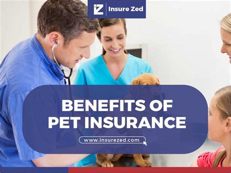 10 Benefits of Pet Insurance - InsureZed.com