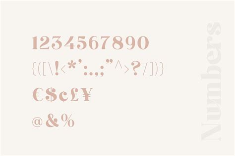 Brand Display Font By Nurrontype Thehungryjpeg