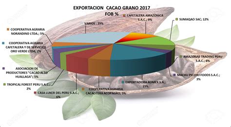 Cacao Grano Archivos Agrodataperu