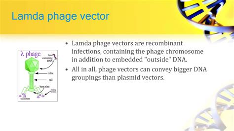 Recombinant dna technology | PPT