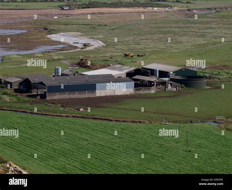 Somerset farm, UK Stock Photo - Alamy