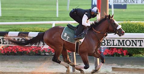 Belmont Stakes Racing Festival Sunday Tickets Saratoga Race Course