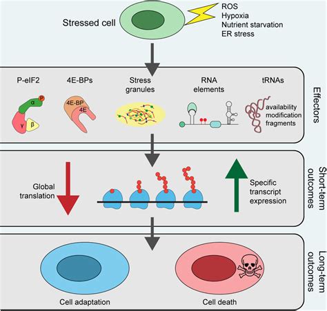 Wires Rna Vol No