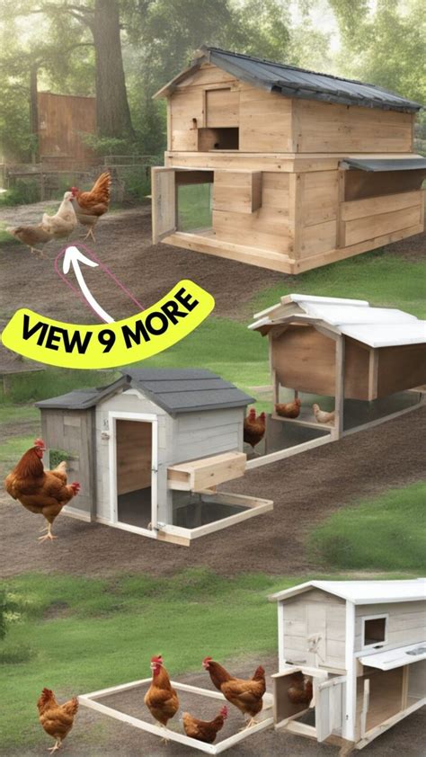 11+ Chicken Coop Ideas to Keep Your Flock Happy – ChickenRise