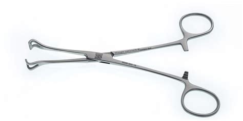 Babcock Forceps Cm Jaws Mm Wide Wrangler Surgical