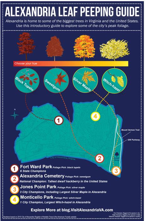 Your Guide To Fall Leaf Peeping In Alexandria Va