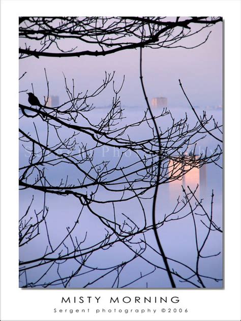 Le Blog de Rouen photo et vidéo Misty morning